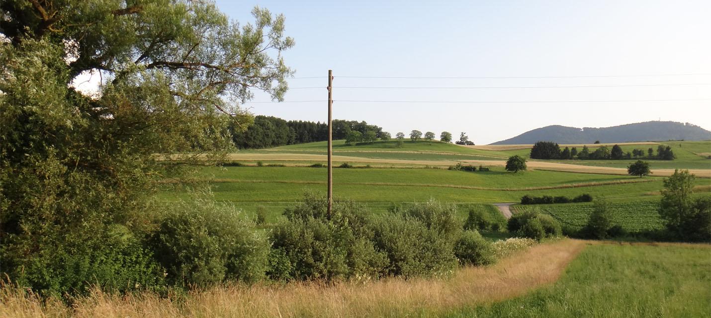 Ökologische Infrastruktur
